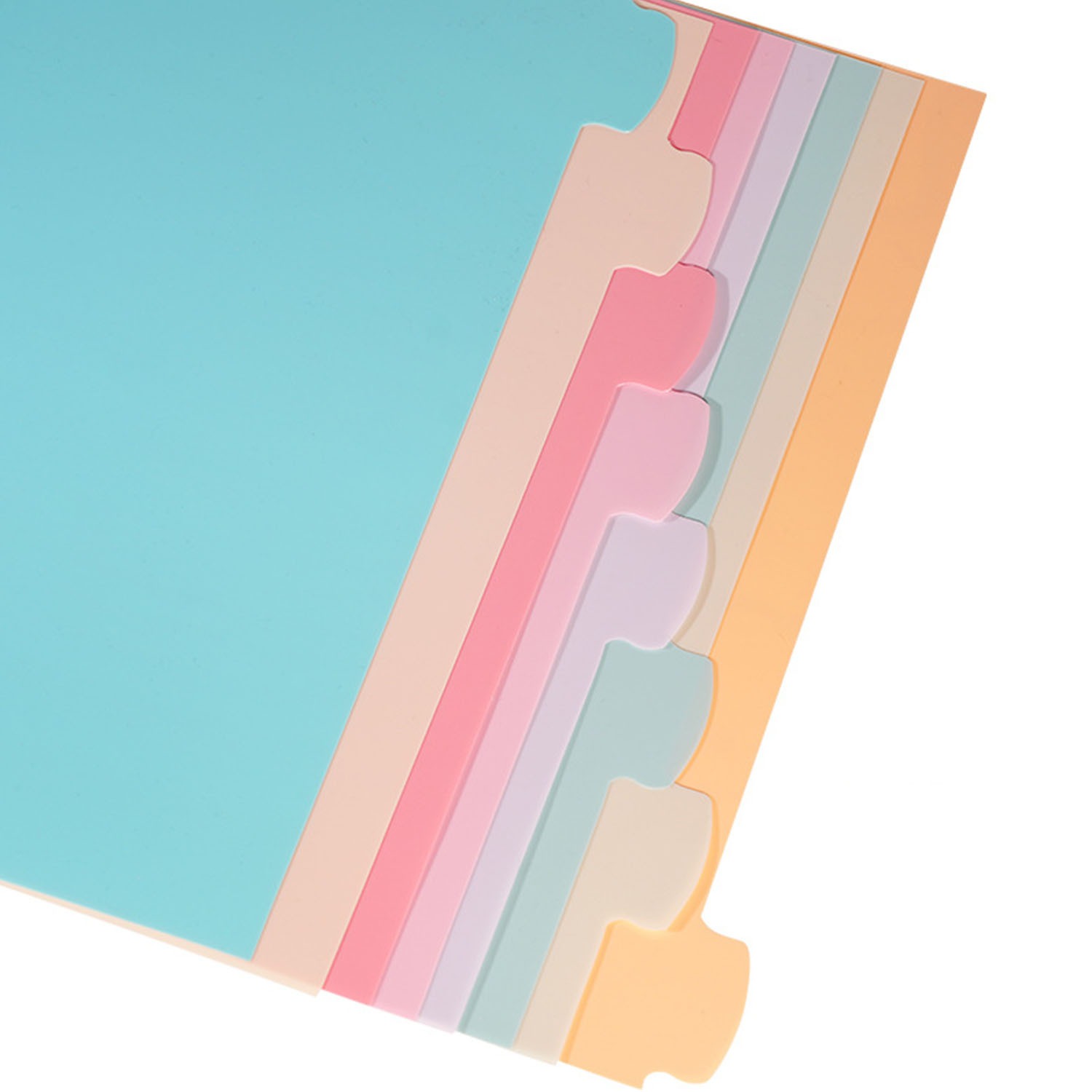 8 Pembagi Binder Tab untuk Bin - Index Tab Divider ulasan dan harga